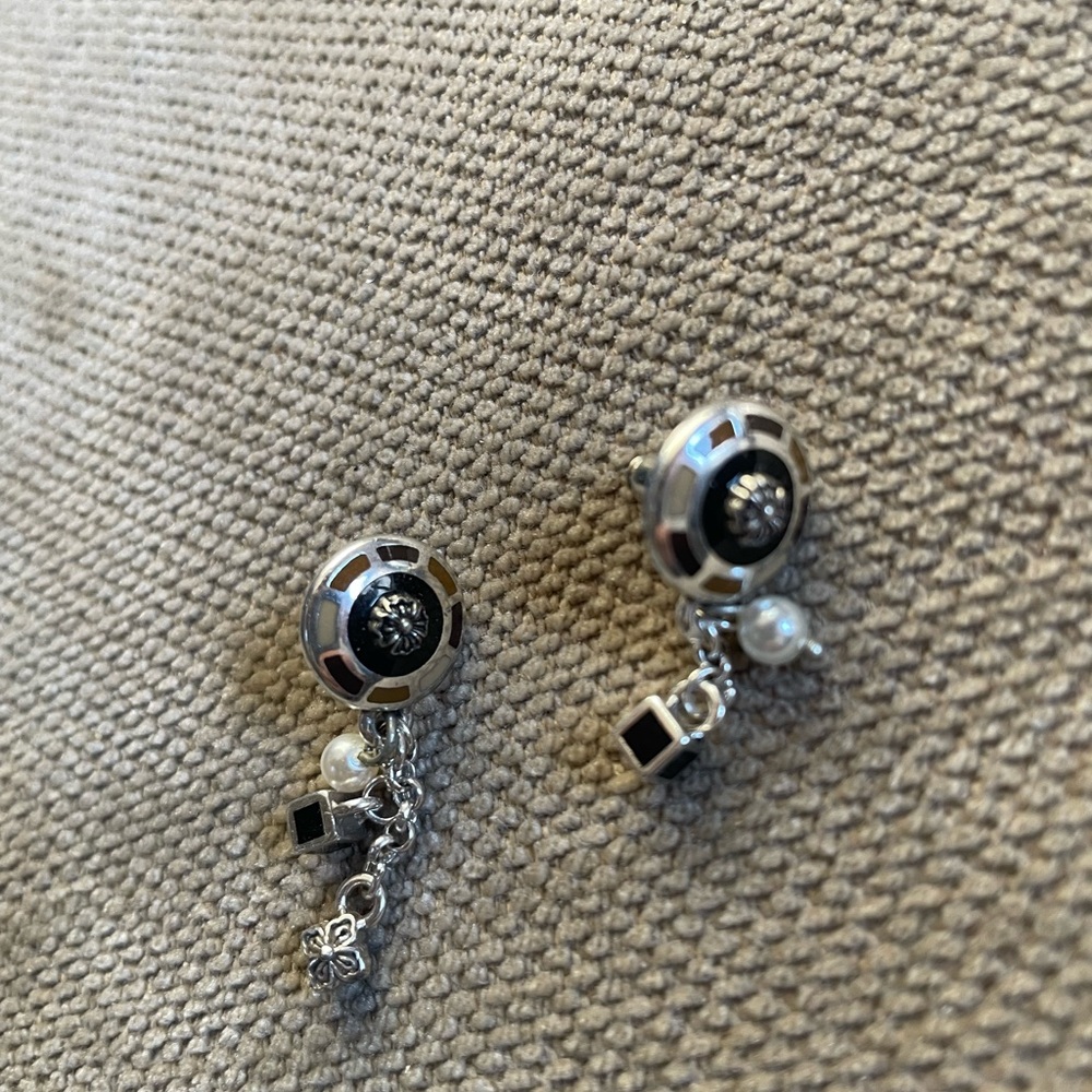 Silver and Black Dangle Earrings
